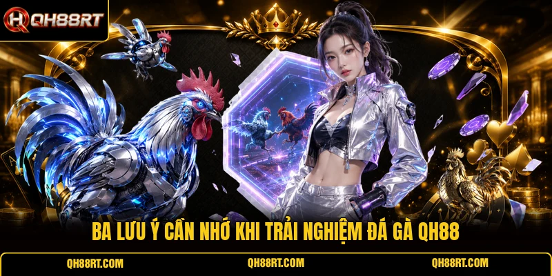 Ba lưu ý cần nhớ khi trải nghiệm đá gà QH88