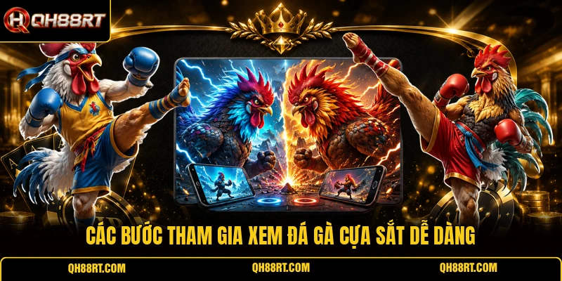 Các bước tham gia xem đá gà cựa sắt dễ dàng