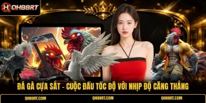 Đá Gà Cựa Sắt