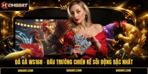 Đá Gà WS168